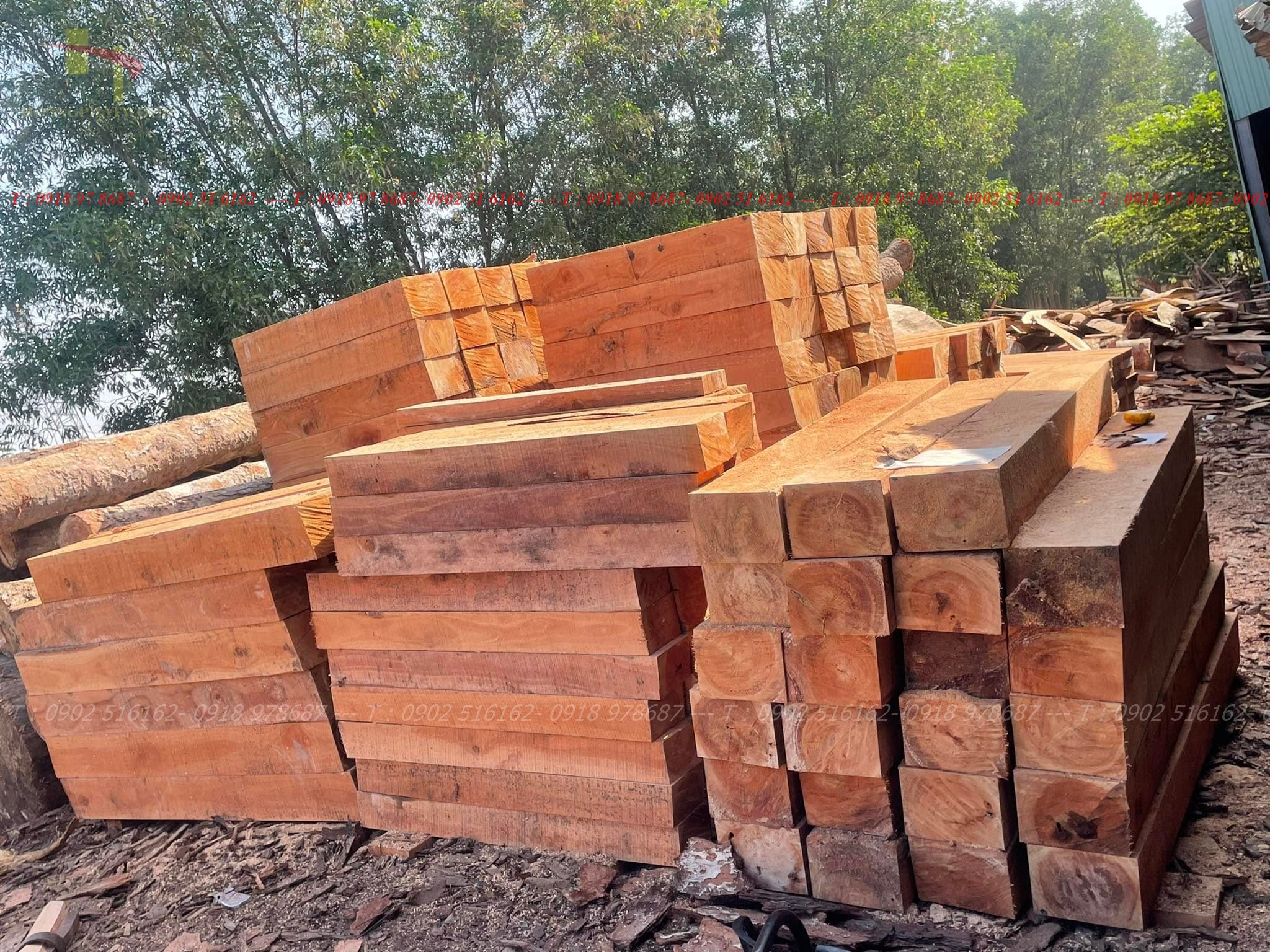 Xẻ gỗ dầu đỏ, gỗ dầu xây dựng, gỗ dầu giá xưởng TPHCM